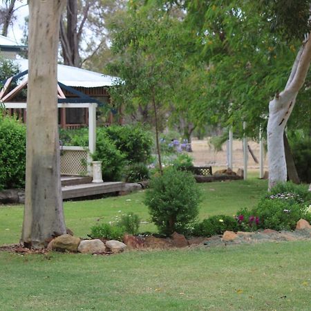 Rosebank Homestead And Farmstay Dalby Dış mekan fotoğraf