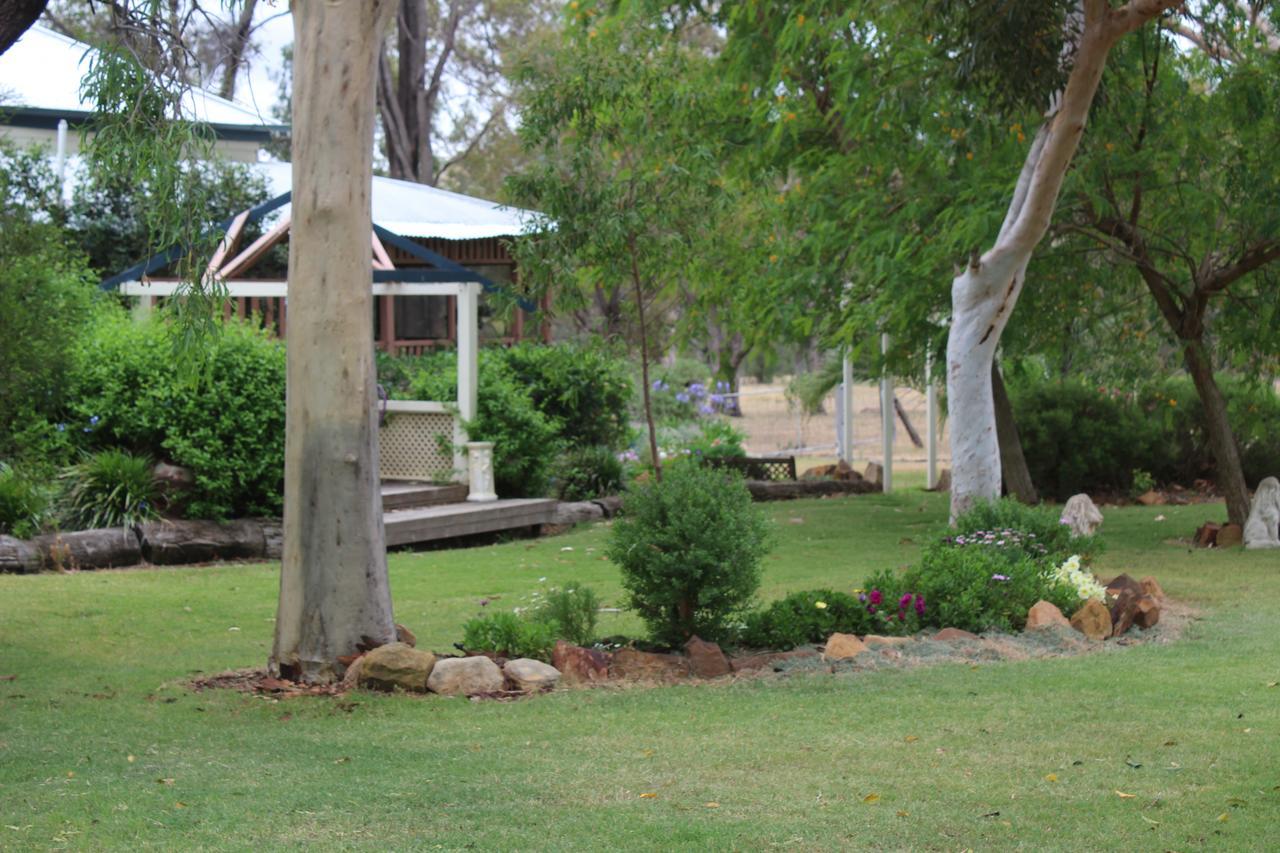 Rosebank Homestead And Farmstay Dalby Dış mekan fotoğraf