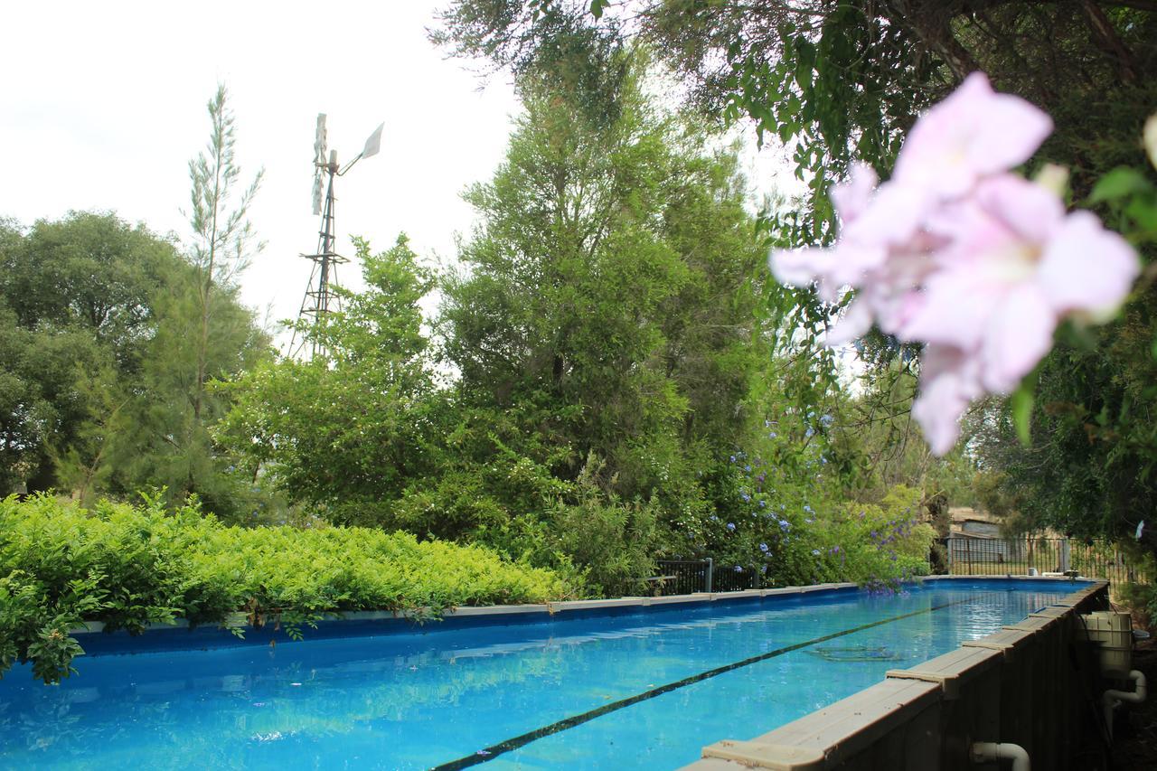 Rosebank Homestead And Farmstay Dalby Dış mekan fotoğraf